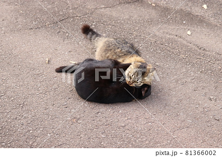 首を絞めるの写真素材 - PIXTA