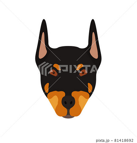 ドーベルマン かわいいのイラスト素材