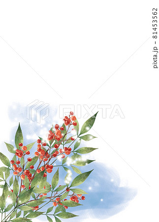 南天 植物 水彩画 水彩のイラスト素材 - PIXTA 南天 植物 水彩画 水彩のイラスト素材 - PIXTA
