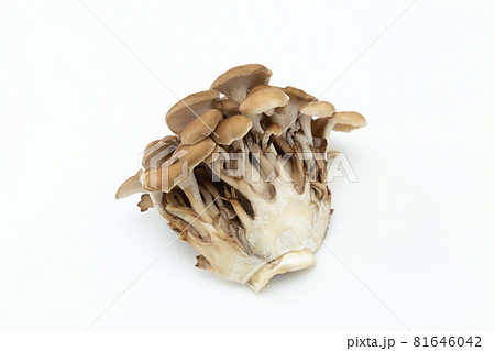 舞茸の写真素材 - PIXTA