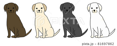 ラブラドールレトリバー 黒ラブ 大型犬 犬のイラスト素材