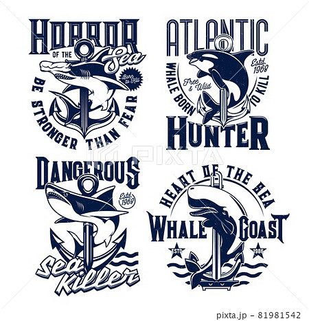 ロゴ くじら クジラ 鯨のイラスト素材