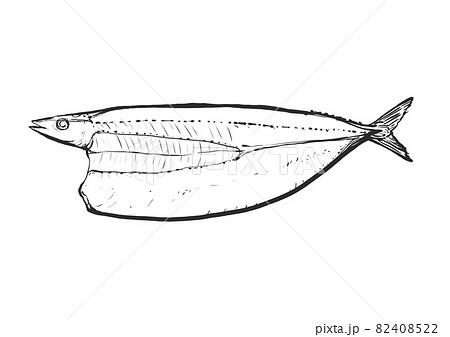サンマ 魚 手書き さんまのイラスト素材