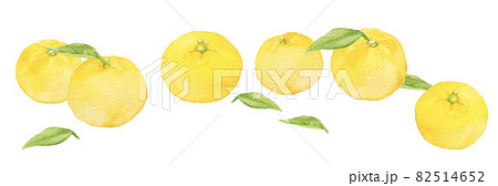 ゆずのイラスト素材集 ピクスタ ゆずのイラスト素材集 ピクスタ