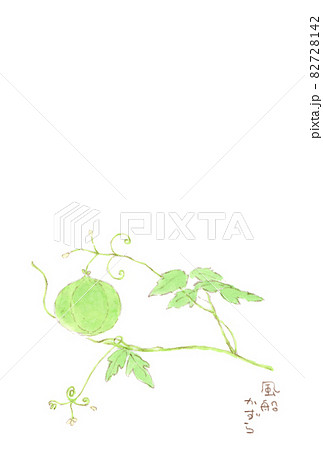 花の絵 風船葛 / フウセンカズラ