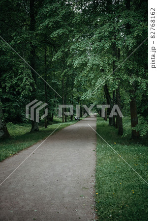 森の小道の写真素材 - PIXTA