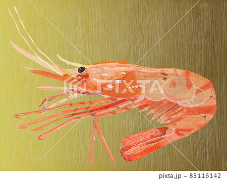 エビ 海老 のイラスト素材集 ピクスタ