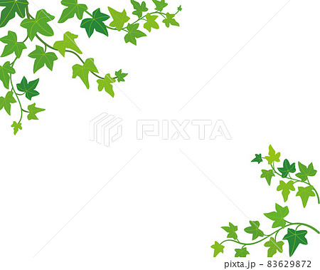 植物 蔦 葉 白抜きのイラスト素材
