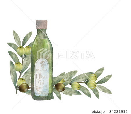 オリーブ イラスト 植物 水彩のイラスト素材