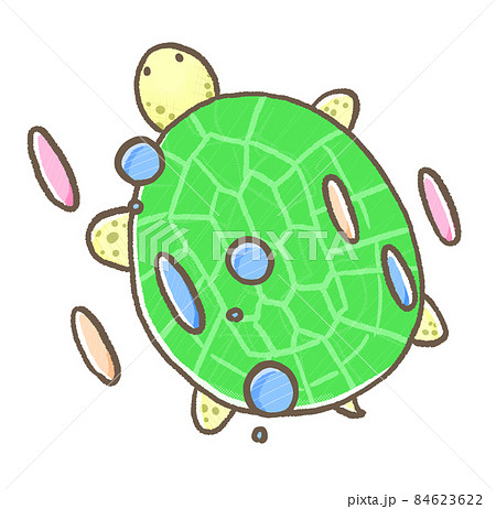 海亀のイラスト素材