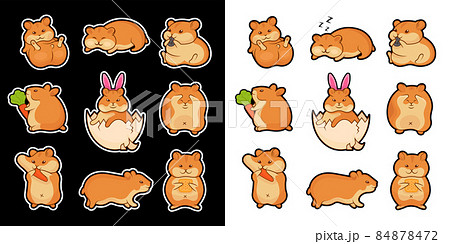 ハムスター イラスト かわいい キュートの写真素材