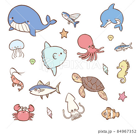 海の生き物キャラクターのイラスト素材