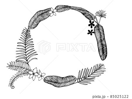 植物 ベクター 葉 モノクロのイラスト素材