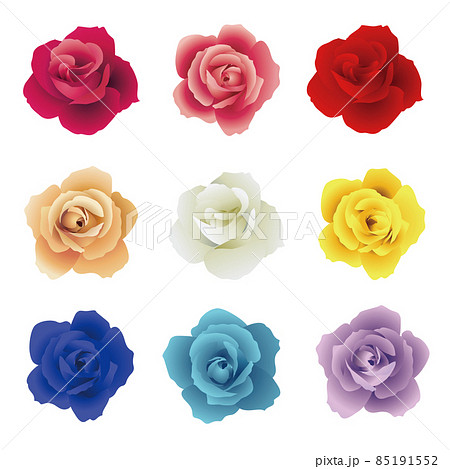 薔薇園のイラスト素材 薔薇園のイラスト素材
