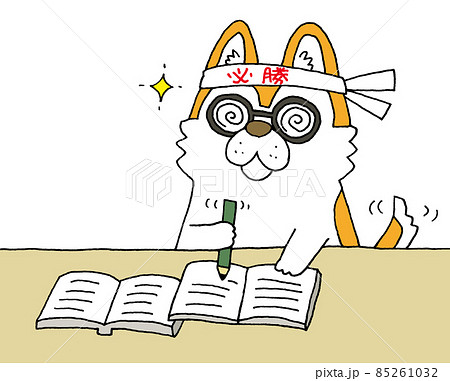 受験勉強のイラスト素材