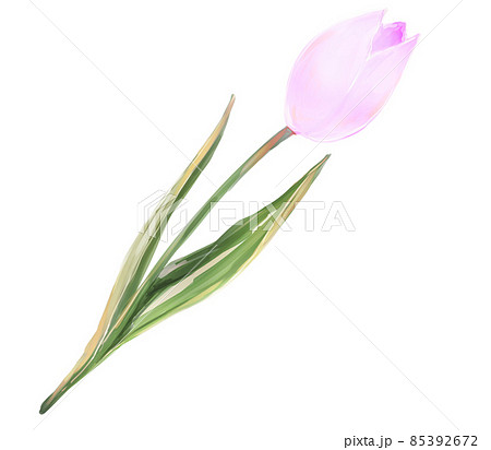 花言葉感謝のイラスト素材