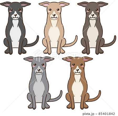 イタグレのイラスト素材