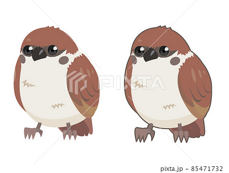 雀のイラスト素材