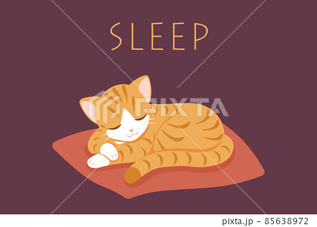 寝る 猫 動物 丸くなるの写真素材