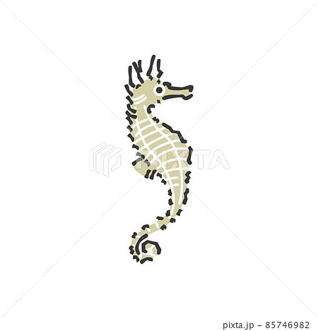 辰 ドラゴン 龍 タツノオトシゴのイラスト素材