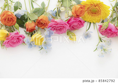 元気が出る花の写真素材