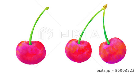 フルーツ サクランボ かわいい イラストのイラスト素材