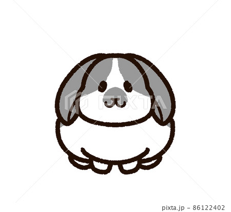 垂れ耳 うさぎのイラスト素材