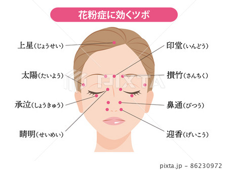 顔 顔のパーツのイラスト素材集 ピクスタ