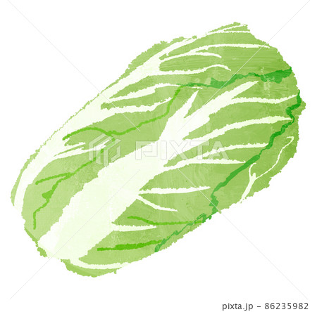 白菜のイラスト素材集 ピクスタ