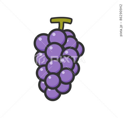 ぶどう フルーツ グレープ 果物のイラスト素材