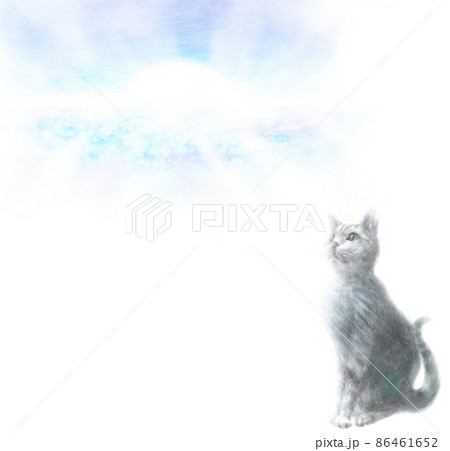 強い意志のイラスト素材
