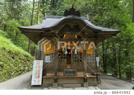 金持神社 本殿 風景 神社の写真素材