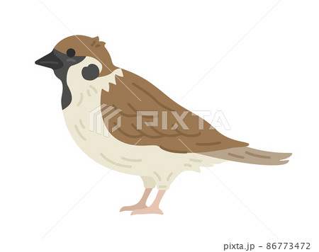 雀のイラスト素材
