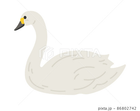白鳥のイラスト素材集 ピクスタ