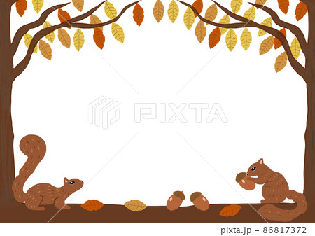 ドングリ リス 木のイラスト素材