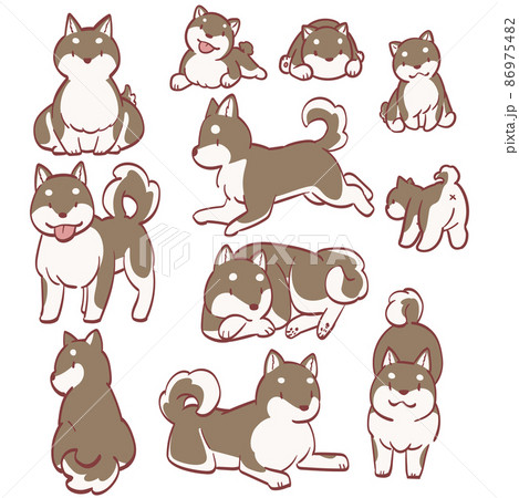 犬 柴犬 おすわり 笑顔のイラスト素材