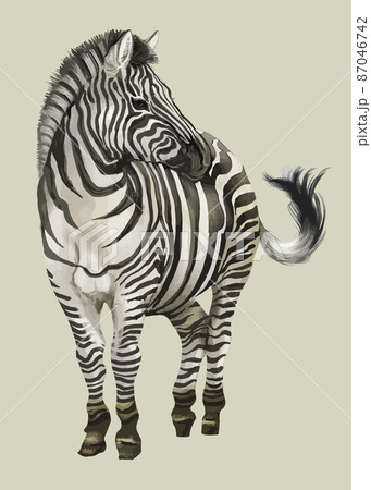 Ow5sul Xyxlwum Ow5sul Xyxlwum