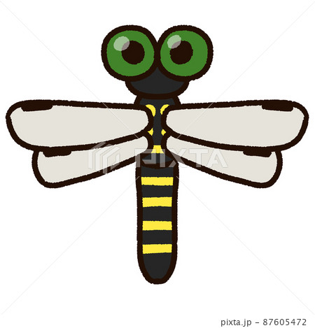 いきもの 虫 蜻蛉 トンボのイラスト素材