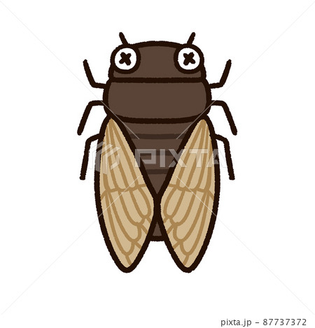 セミ 蝉 のイラスト素材集 ピクスタ