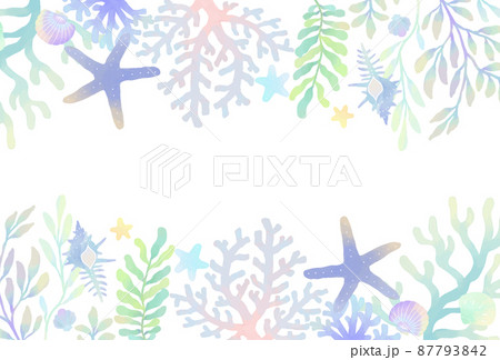 ヒトデ ウニ ナマコのイラスト素材集 ピクスタ