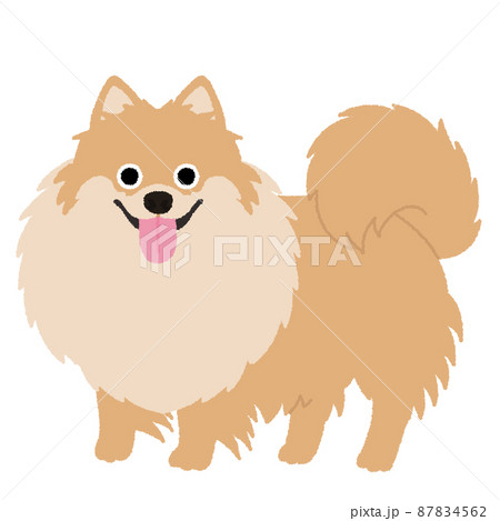 ポメラニアンのイラスト素材集 ピクスタ