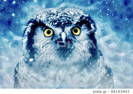 フクロウのイラスト素材集 ピクスタ