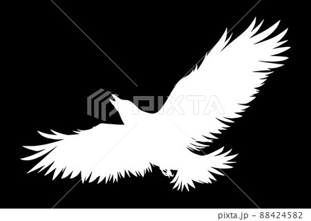 カラス シルエットのイラスト素材