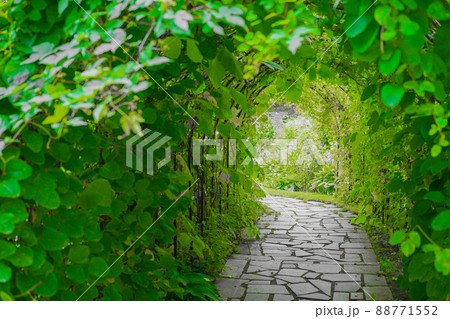 洋風庭園の写真素材