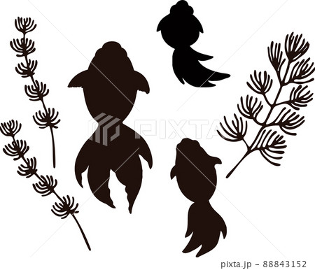 ベクター 魚 シルエット 淡水魚のイラスト素材