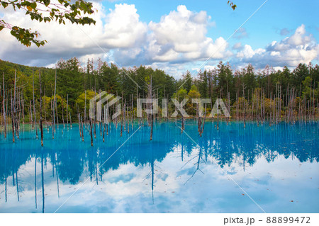 北海道 壁紙 美瑛 青い池の写真素材 北海道 壁紙 美瑛 青い池の写真素材