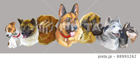 ジャーマンシェパードのイラスト素材 ジャーマンシェパードのイラスト素材