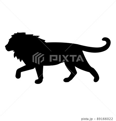 動物 ライオン 横顔 哺乳類のイラスト素材