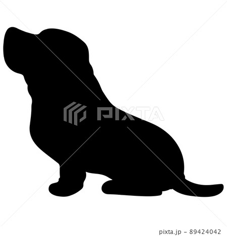 動物 哺乳類 シルエット かわいいのイラスト素材