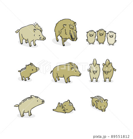 イノシシのイラスト素材集 ピクスタ